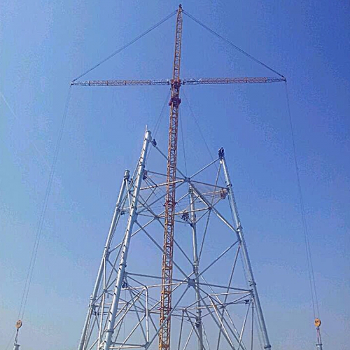 Electric power tower crane